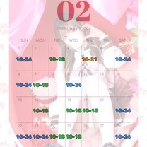 �u���O�摜