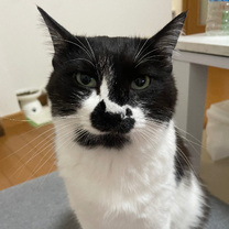 o??