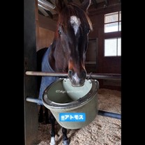 ����ɂ���?