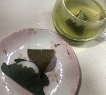 �t�̘a�َq�̉摜