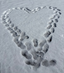 ���ε����β���