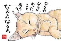 �u���O�摜
