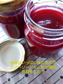 �u���O�摜