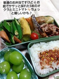 �u���O�摜