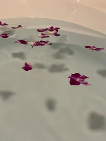 �u���O�摜