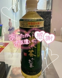 �u���O�摜