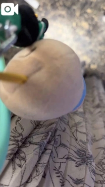 ɂȂ