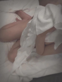 �u���O�摜