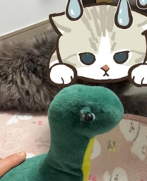 �o�΂��Ă�