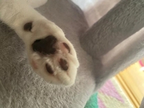 ���ε����β���