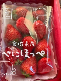 �u���O�摜