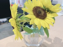 �u���O�摜