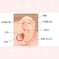 �u���O�摜