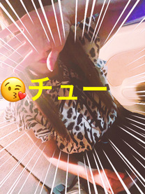 �u���O�摜