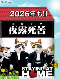 ���N���o...