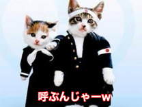 �[���o��...