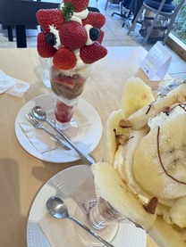 �u���O�摜