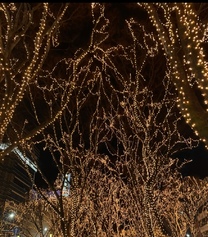 💖 �o�΂��܂� ...