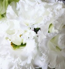 ���x�݂�...