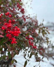 �����͂��肪�Ƃ�����...