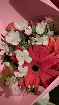 �u���O�摜