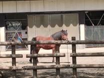 ���T�̐�`💥��1��3���̂���💌�̉摜