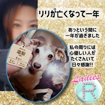 ���ε����β���