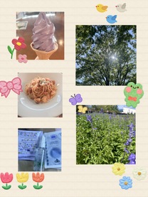 �u���O�摜