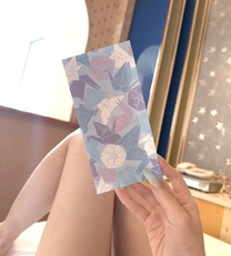 �u���O�摜