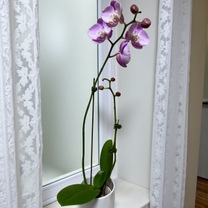 ���ε����β���