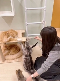 ���ł��E...