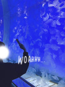 �y����z1/25(��)����...