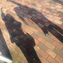 ?���炫��?