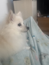 ���͂��...