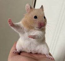 �n������...