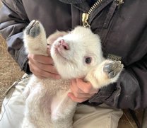 �����l��...