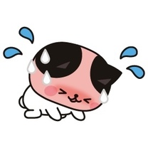 ���߂�Ȃ���?