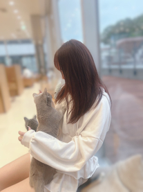 ��������...