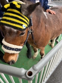 �u���O�摜