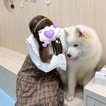 2025�N�����肪�Ƃ�