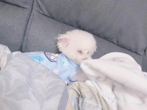 �������...