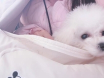 �y�������z�̂͂Ȃ�