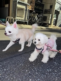 �����͑�...