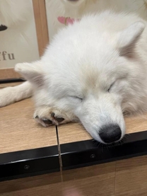 �T�������