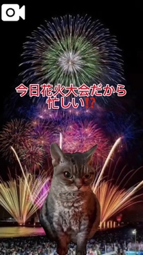 {ŏI