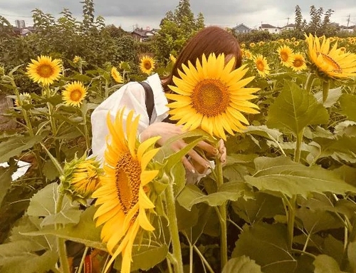 写真