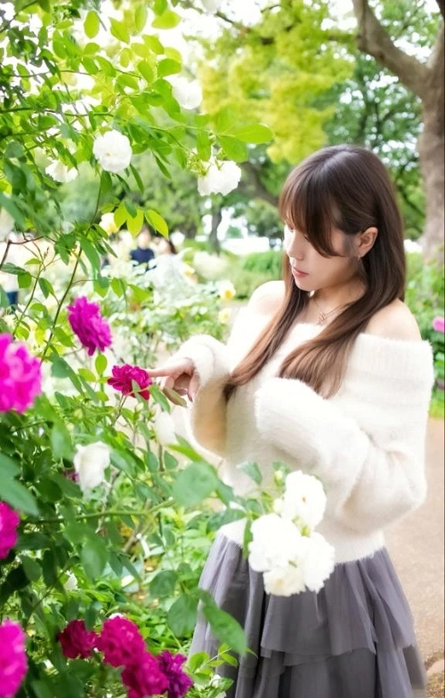 写真