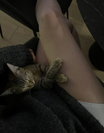 ♥