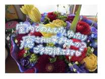 �u���O�摜