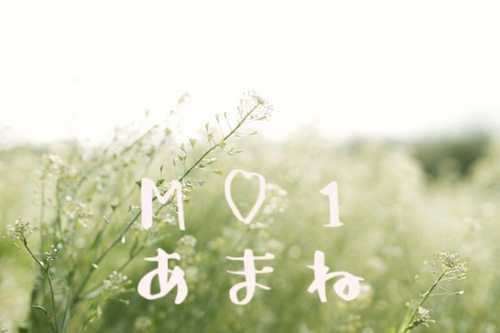 �o�΂��܂�����(�L���M)